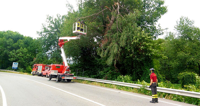 Borgomanero: piante in bilico sulla strada, intervento dei Vigili del fuoco