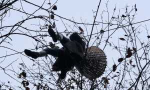 416105610 748328047321436 50845278310492766 n