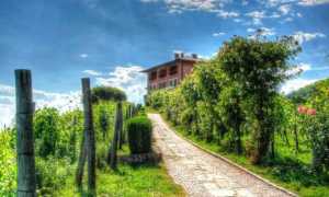 Boca Podere ai Valloni