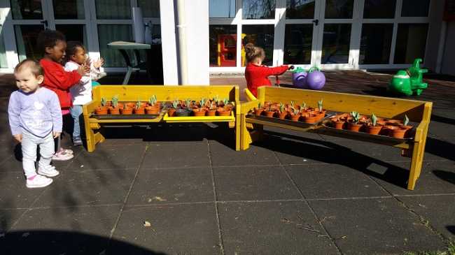 Borgomanero giovani e ambiente