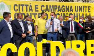 Cinghiali protesta torino