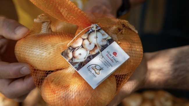 CipollaBionda CureggioFontaneto PresidioSlowFood