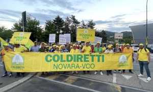 Coldiretti Novara Vco to cinghiali