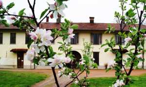 Fondazione Marazza primavera