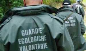 Guardie volontarie ecologiche