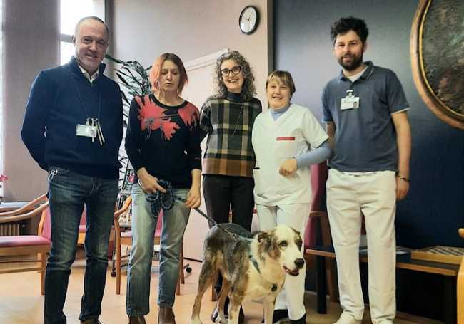 Pet therapy Borgomanero