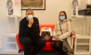 Schermata 2021 02 21 alle 10.46.44