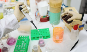 Schermata 2023 01 20 alle 15.17.20