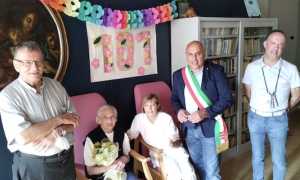 adalgisa ferrari 101