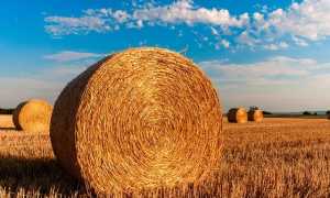 agricoltura