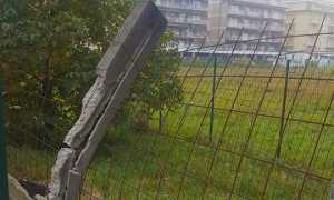 arona stadio degrado