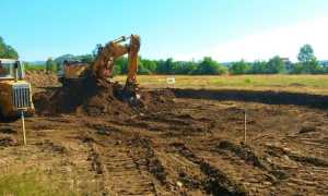 beatrice in bonifica