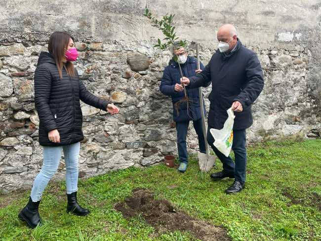 bfb74c63 ec62 4ce7 b0e2 455ce40bd086