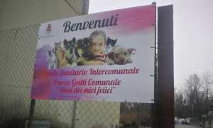 borgo canile 