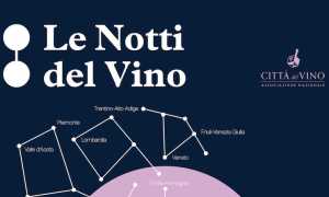 borgo notti vino 25