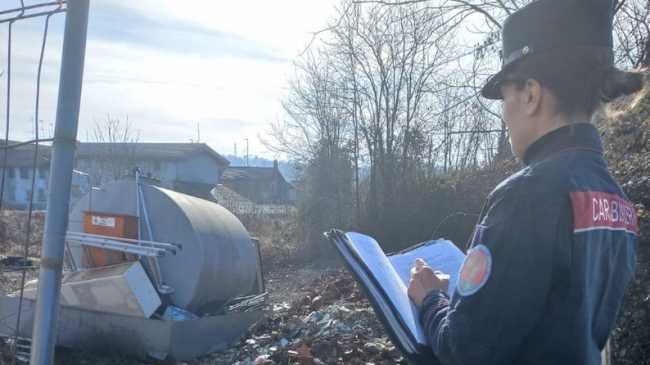 borgo ticino abbandono forestale