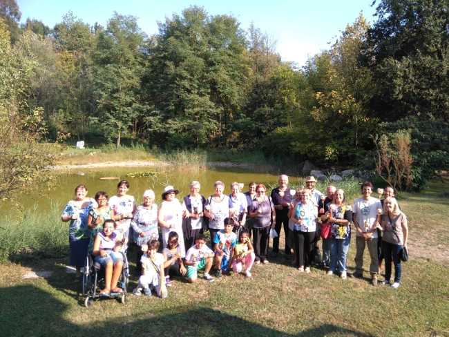 borgomanero apicoltura