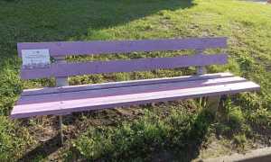 briga panchina viola