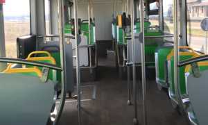 bus sun novara interno