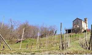 camminata s cristina cressa