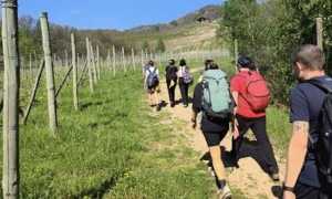 cammino colline novaresi