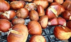 castagne griglia