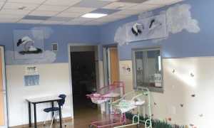 cicogne ospedale borgo