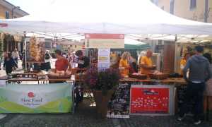 cipolla fontaneto 01