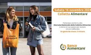 colletta alimentare 24