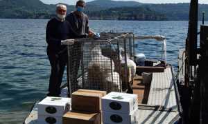 consegna allisola via barca
