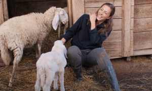 documentarista miletta