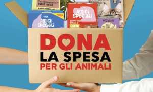 dona spesa animali