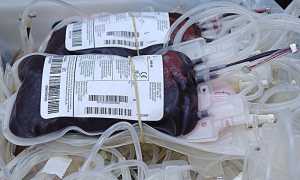 donazione sangue