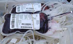 donazione sangue
