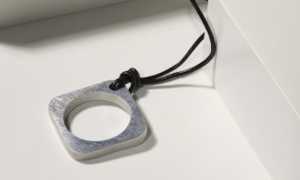 enaip borgo prog ringreen