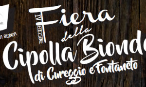 fiera della cipolla