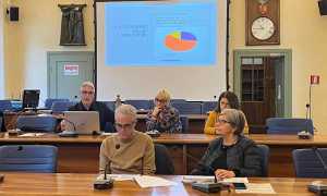 flussi turismo novara