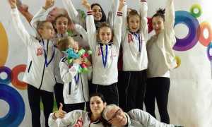 fly gozzano 5novembre