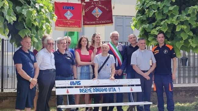 fontaneto panchina avis