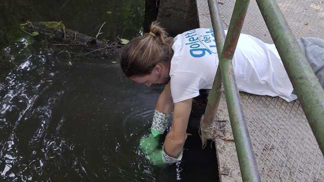forum acque piemonte goletta laghi