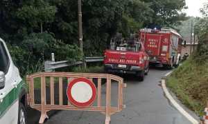 frana colombaro foto