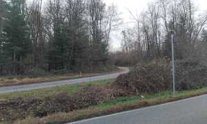 gattico veruno area revislate