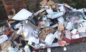 ghemme rifiuti abbandonati