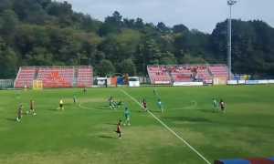 gozzano novaromentin