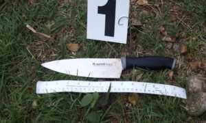 grignasco tentato omicidio 25