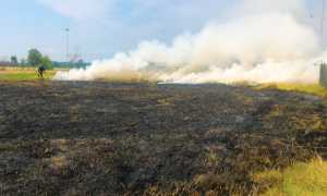 incendio sterpaglie vigili novara a