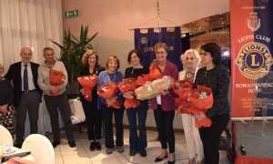 lions incontro viol 24