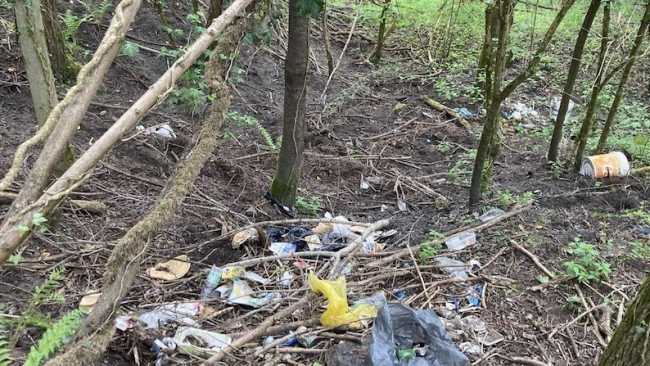 maggiora giornata ecologica