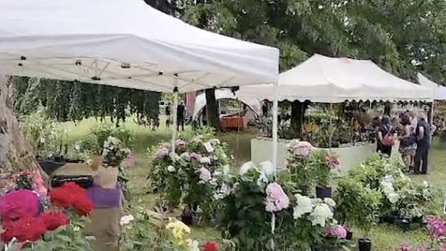 menta rosmarino 2023