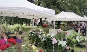 menta rosmarino 2023